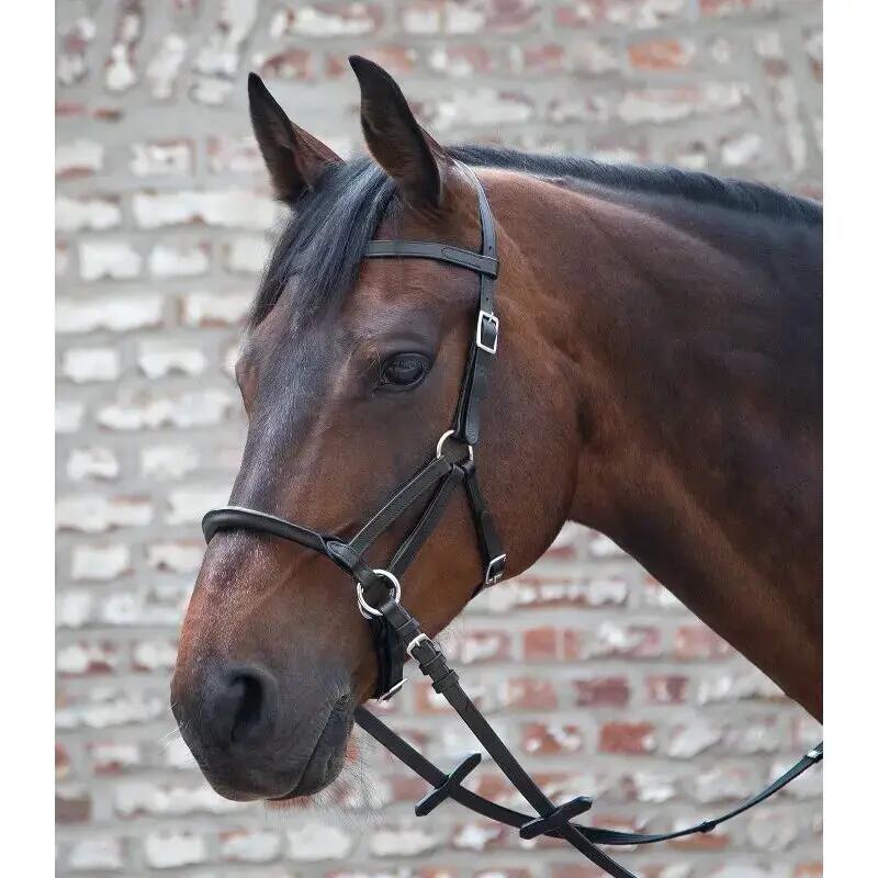 Bitless bridle for horses Tellington Ttouch 2/2