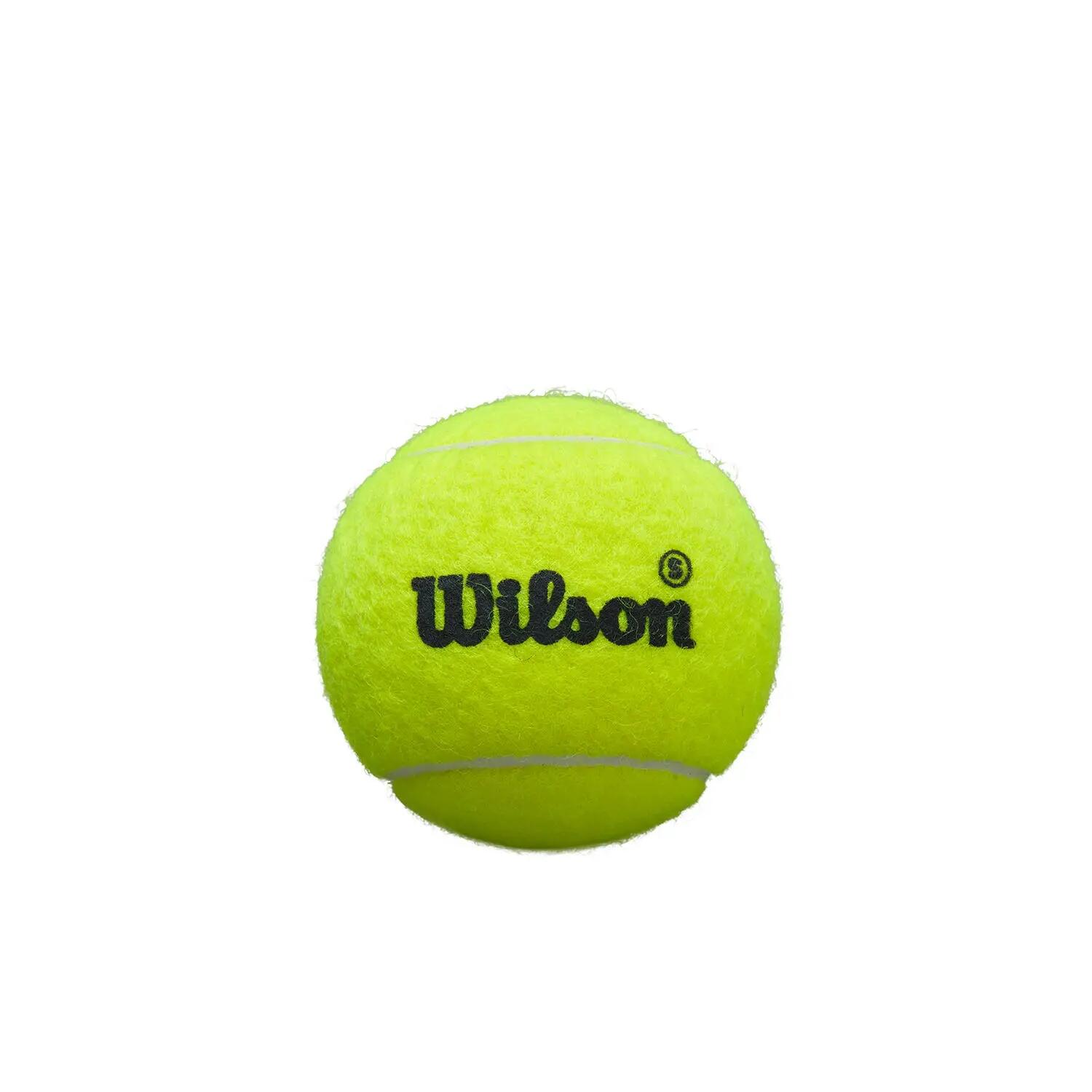 Koker 3 Padelballen Wilson Premier 3/4