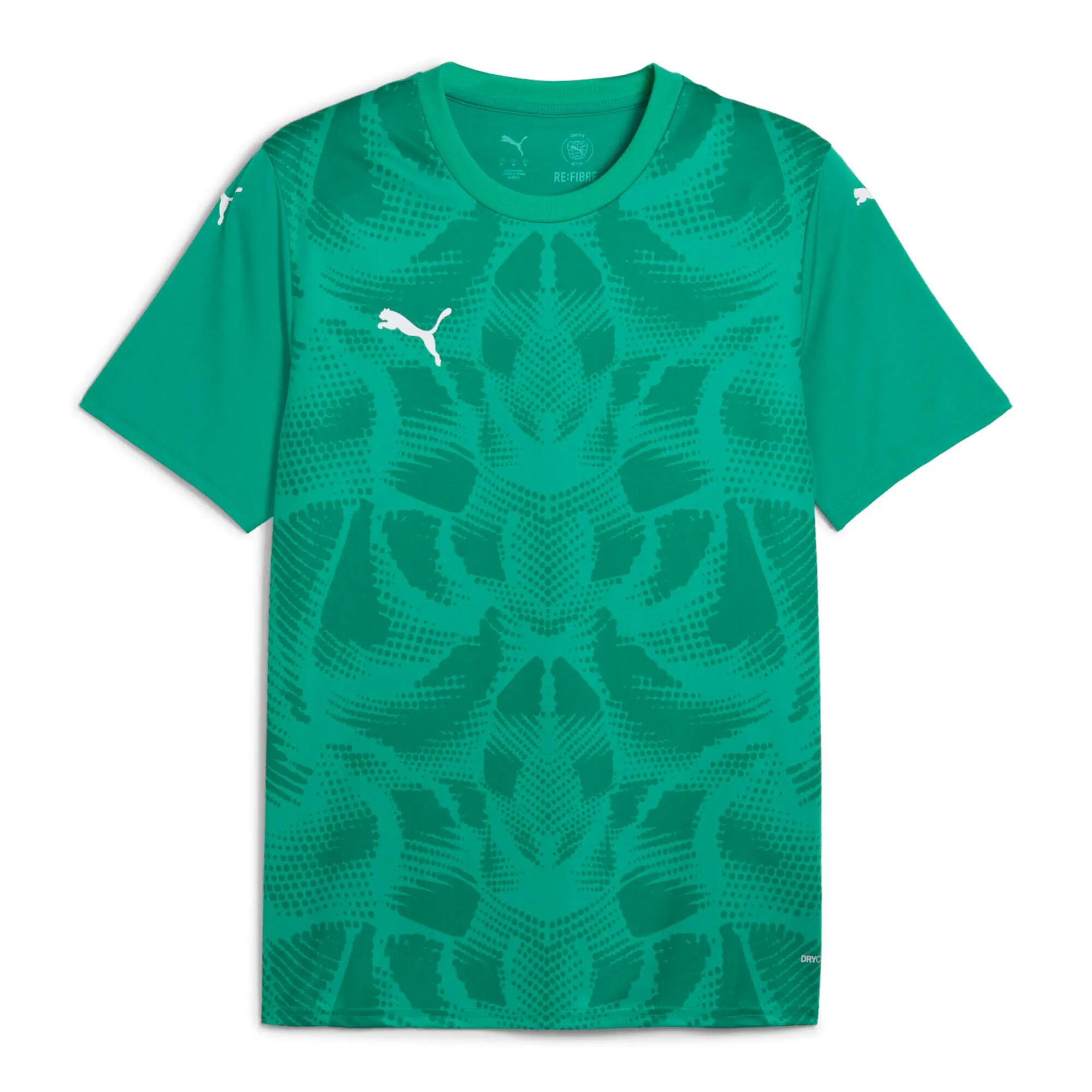 PUMA picture