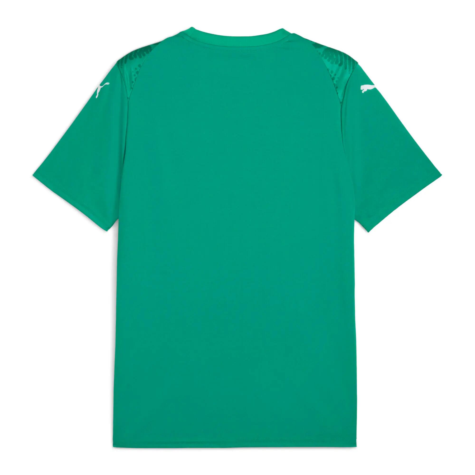 Maillot Puma Team Ultimate 2/2