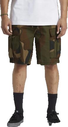 Shorts - Skate - Homme - Cargo, Tundra 22'' - Camouflage abstrait