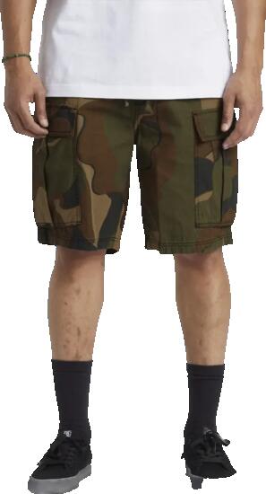 Shorts - Skate - Homme - Cargo, Tundra 22'' - Camouflage abstrait