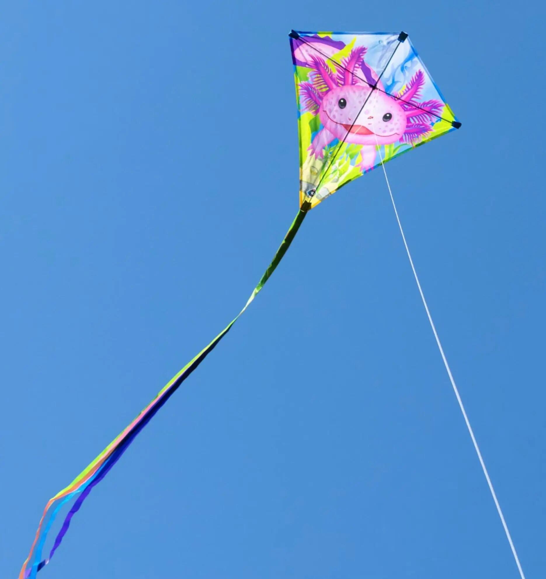 Cerf-volant pour enfants HQ Eddy Axolotl 100067 Rose 68 x 68 cm 4/4