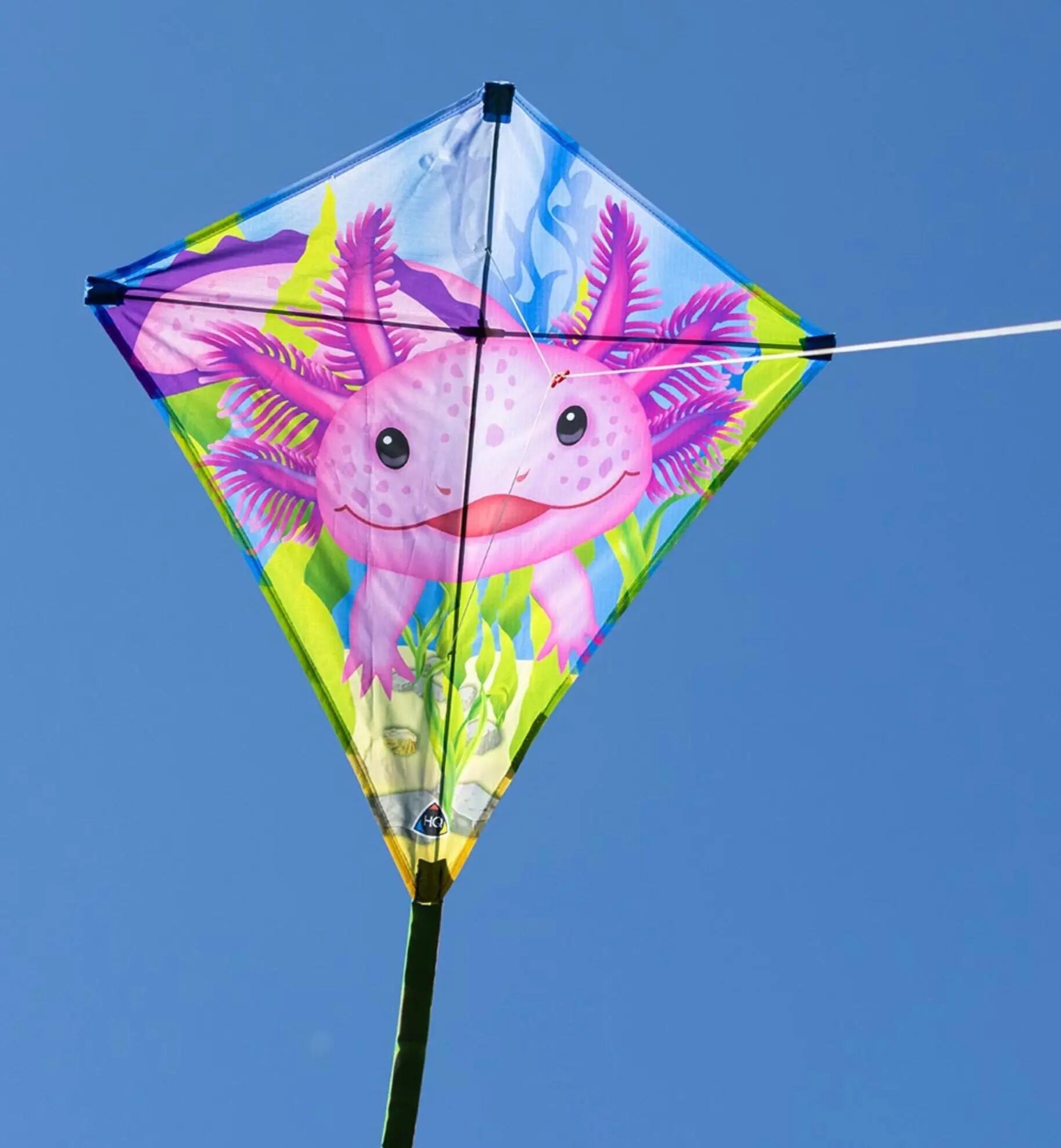 Cerf-volant pour enfants HQ Eddy Axolotl 100067 Rose 68 x 68 cm 3/4
