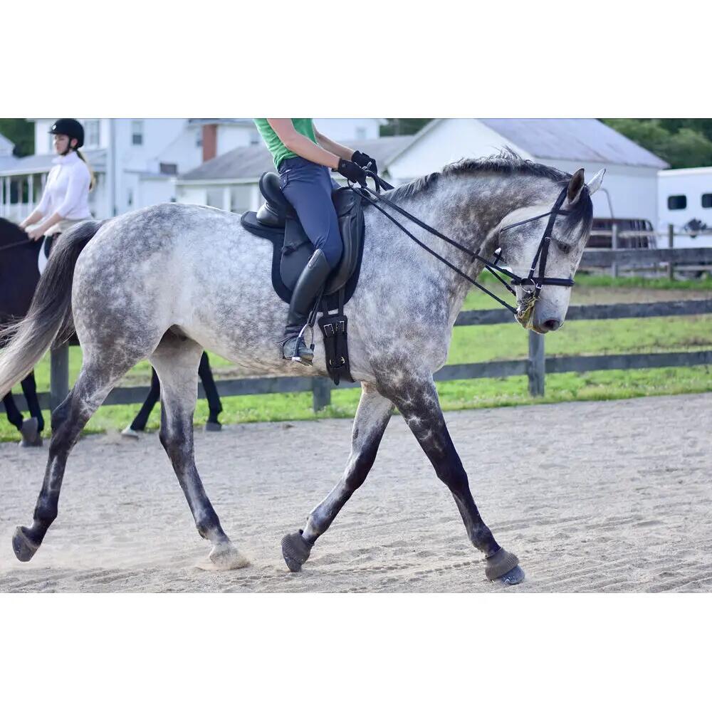 Tapis de dressage pour cheval ThinLine 2/2