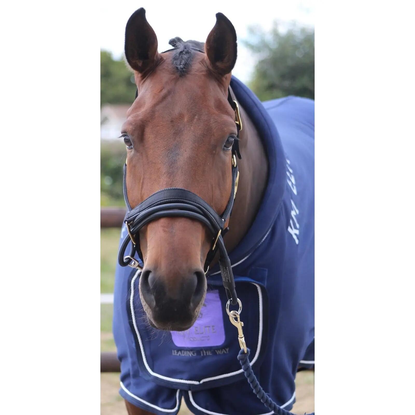 KM ELITE picture