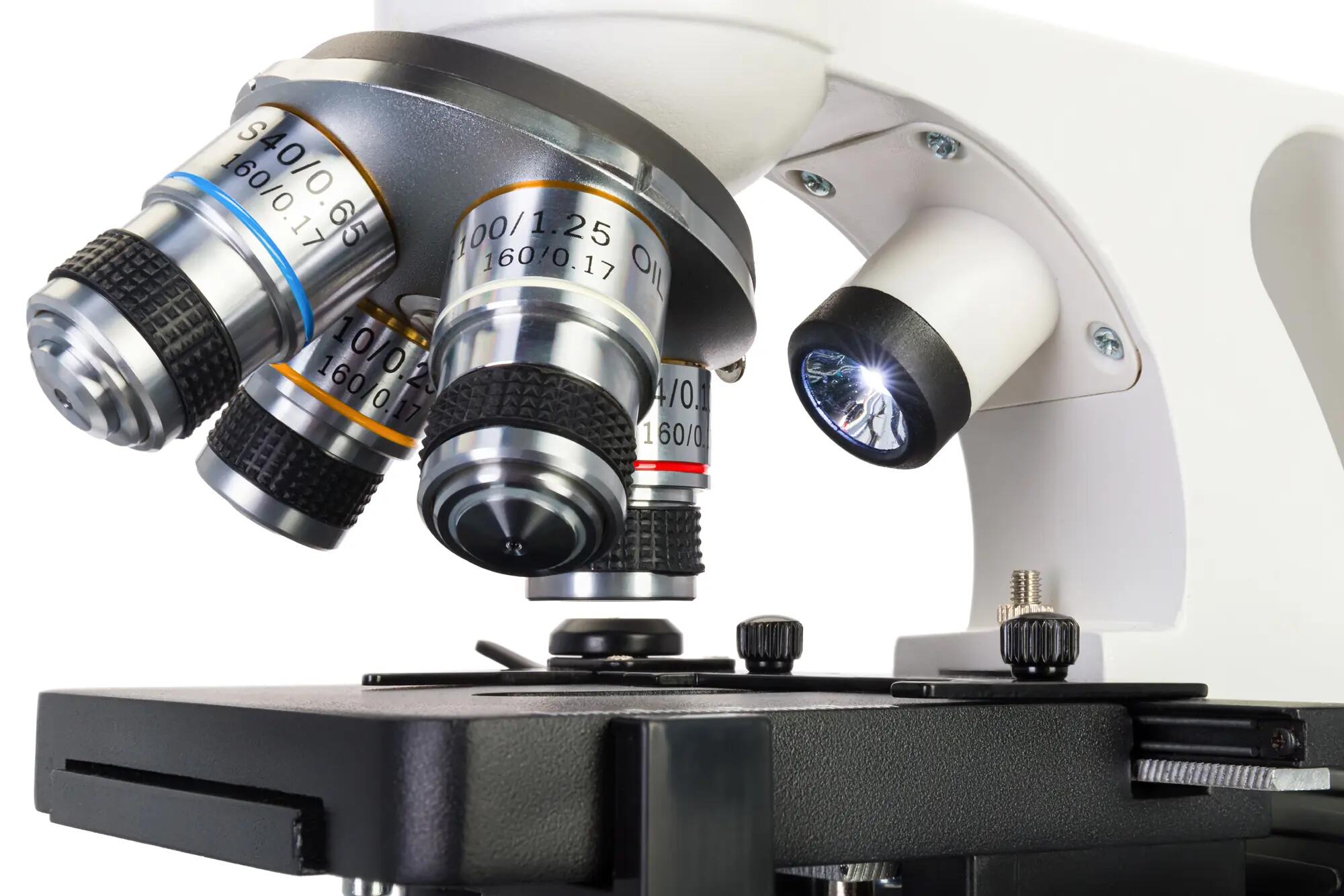 Microscopio digitale Levenhuk Discovery Atto Polar con libro in inglese 11/14