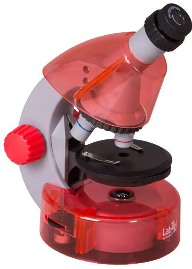 Levenhuk LabZZ M101 Amethyst Microscopio con Libro in Italiano