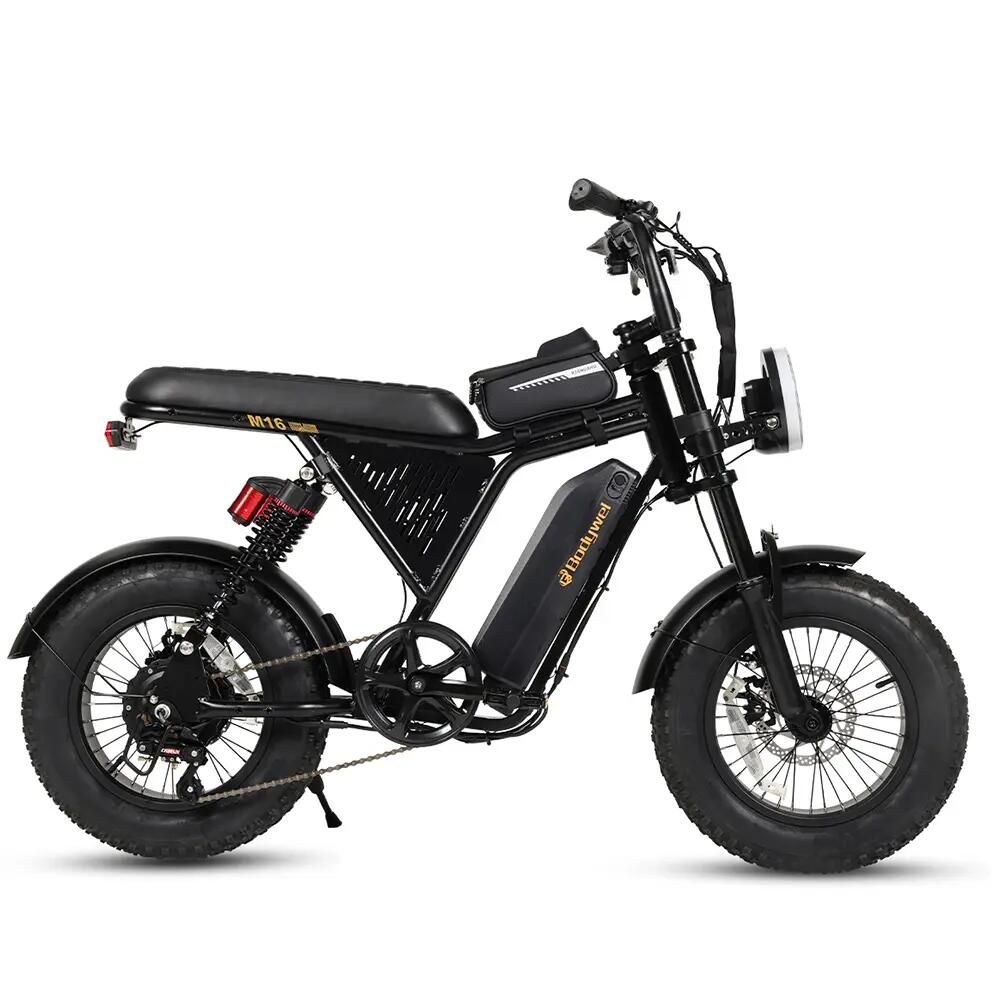 Bicicleta eléctrica Bodywel M16 PRO con  batería de 48 V y 15 Ah 2/6