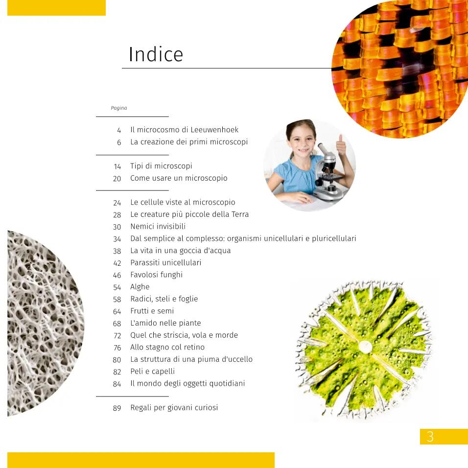 Microscopio Levenhuk Discovery Pico Terra con libro in italiano 6/15