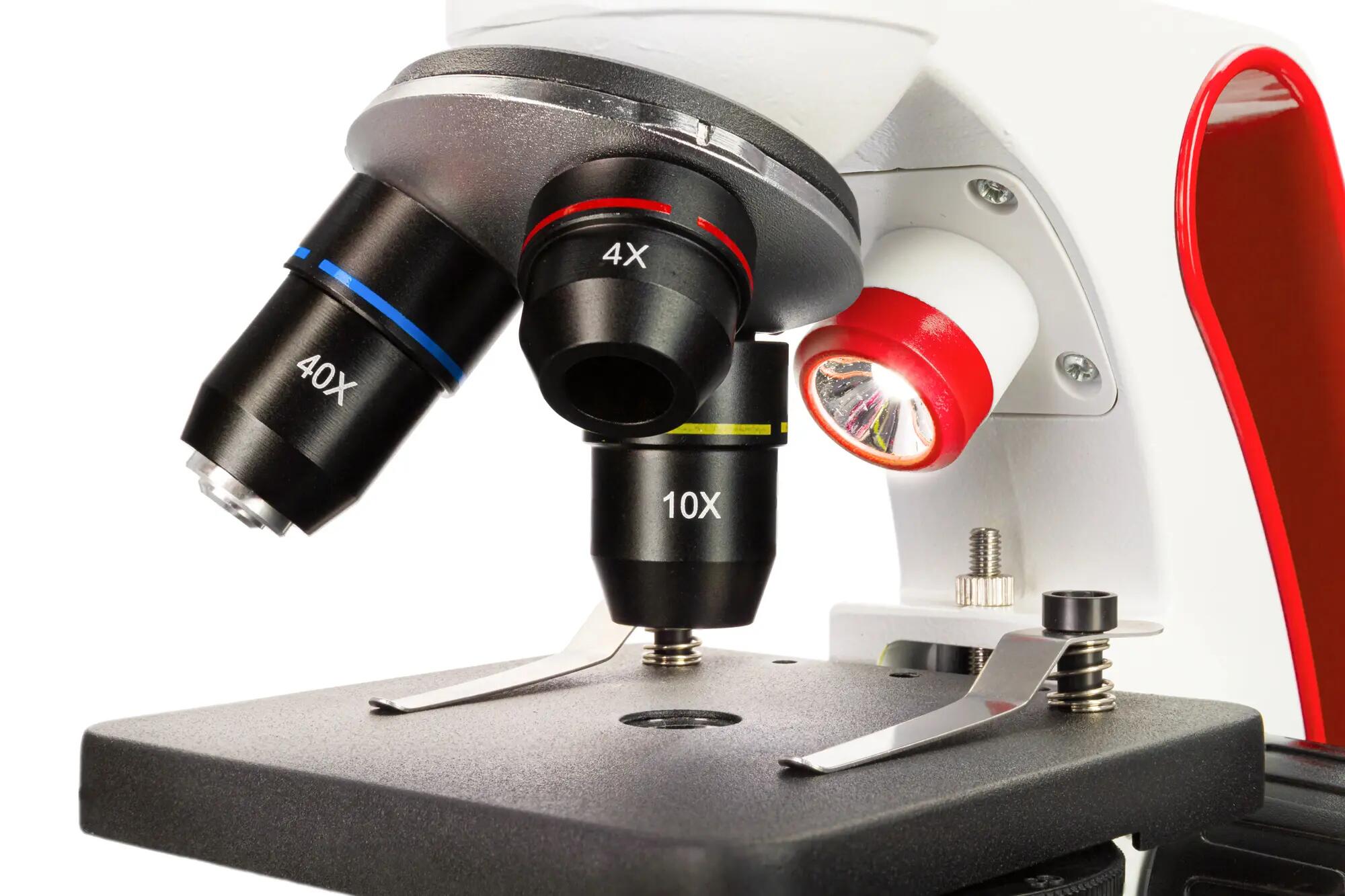 Microscopio Levenhuk Discovery Pico Terra con libro in inglese 12/15