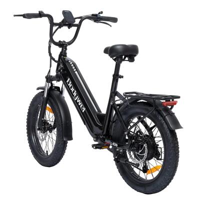 Bodywel f20 elektrische fiets met 20-inch wielen, 250w motor en 48v 13,5ah accu.