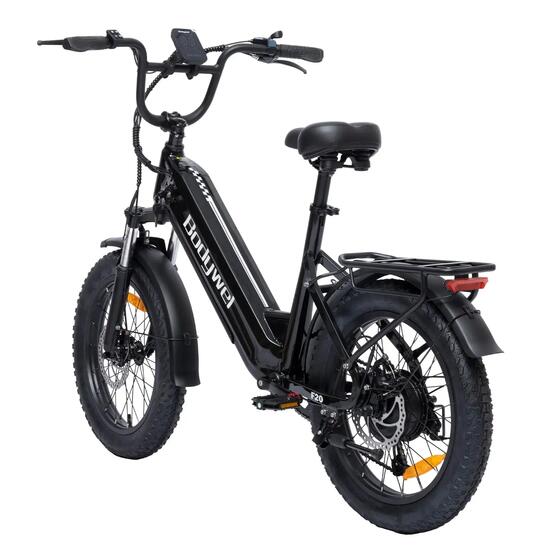 Bicicletta elettrica Bodywel F20 da 20 pollici 250 W 48 V 135 Ah