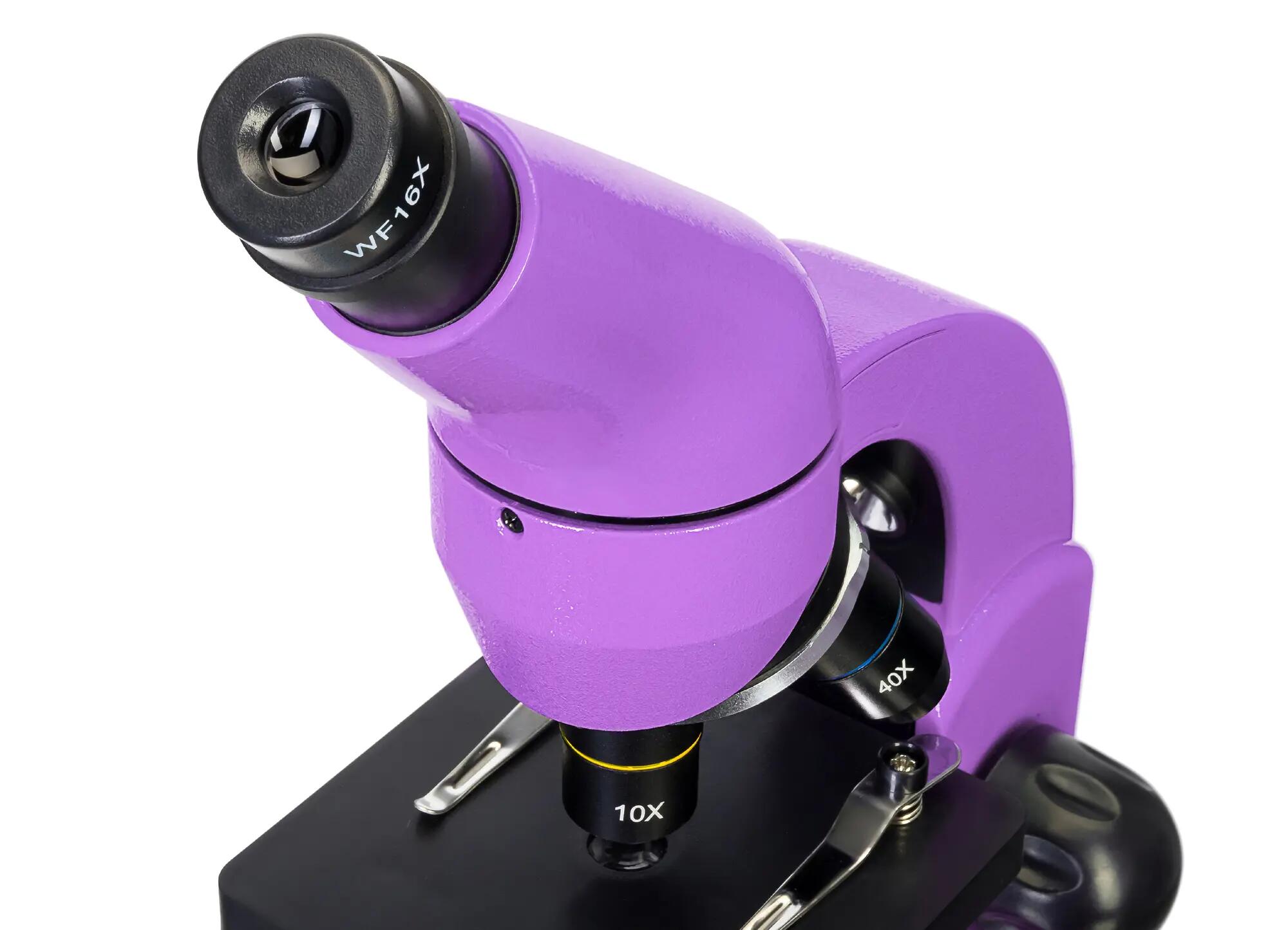 Microscopio Levenhuk Rainbow 50L PLUS Ametista con libro in inglese 11/15