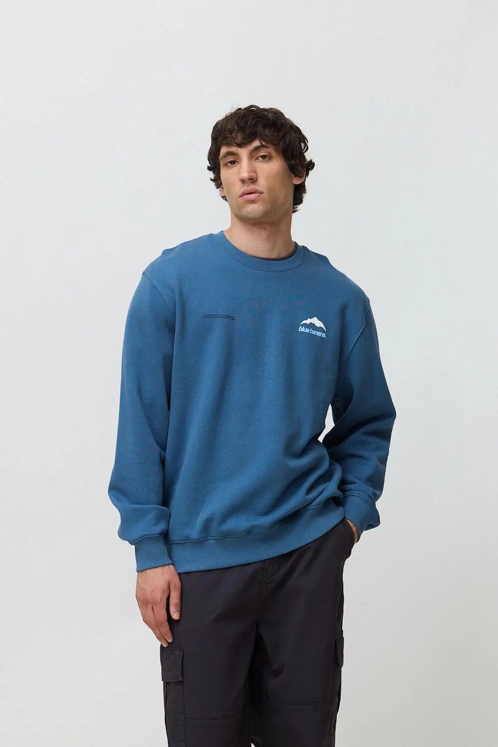 BLUE BANANA picture