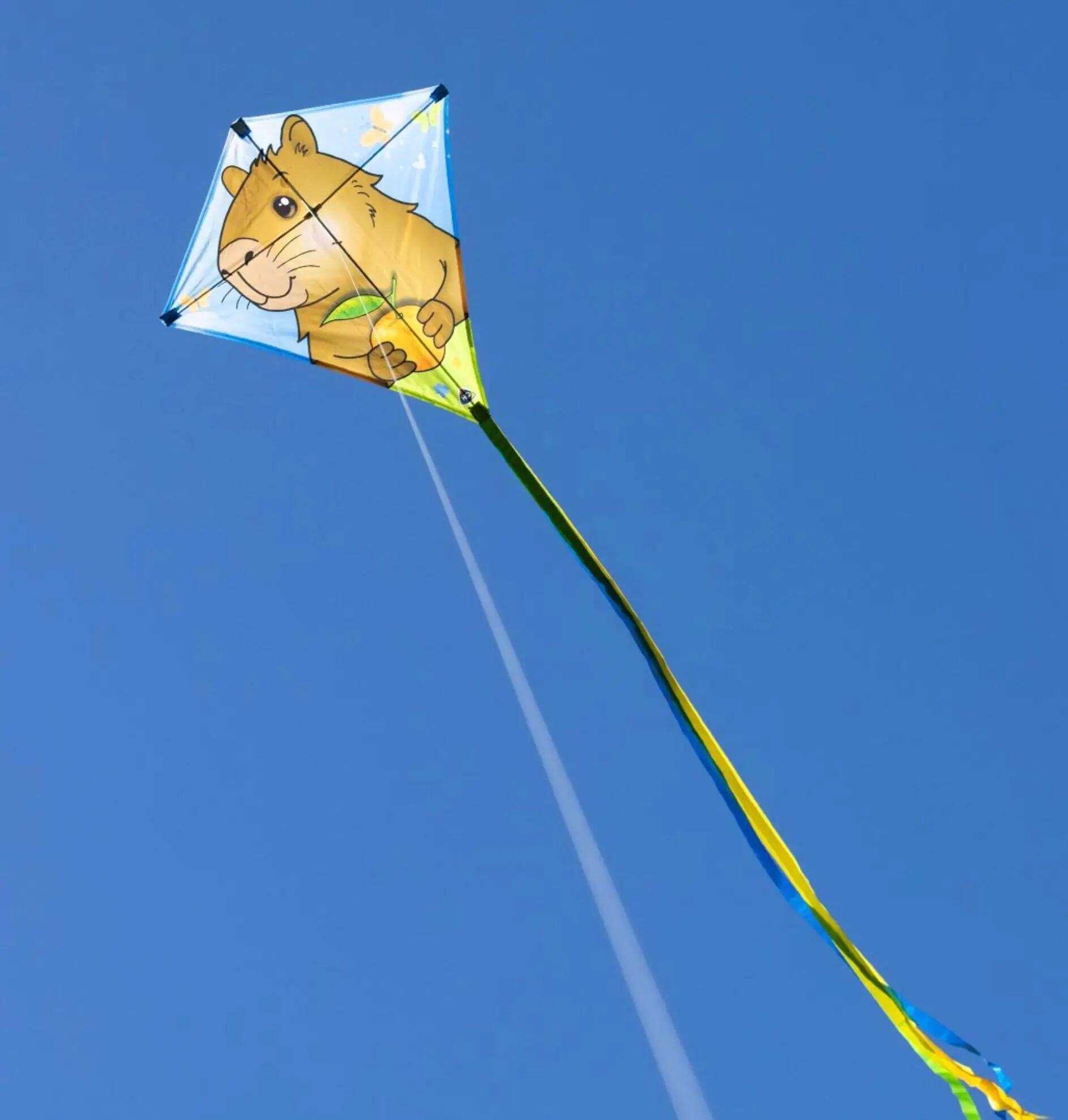 Cerf-volant pour enfants HQ Eddy Capybara 100065 Brun 68 x 68 cm 4/4