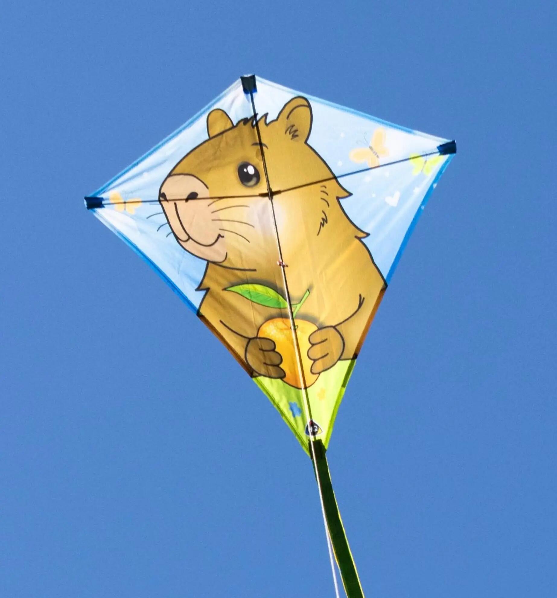 Cerf-volant pour enfants HQ Eddy Capybara 100065 Brun 68 x 68 cm 3/4