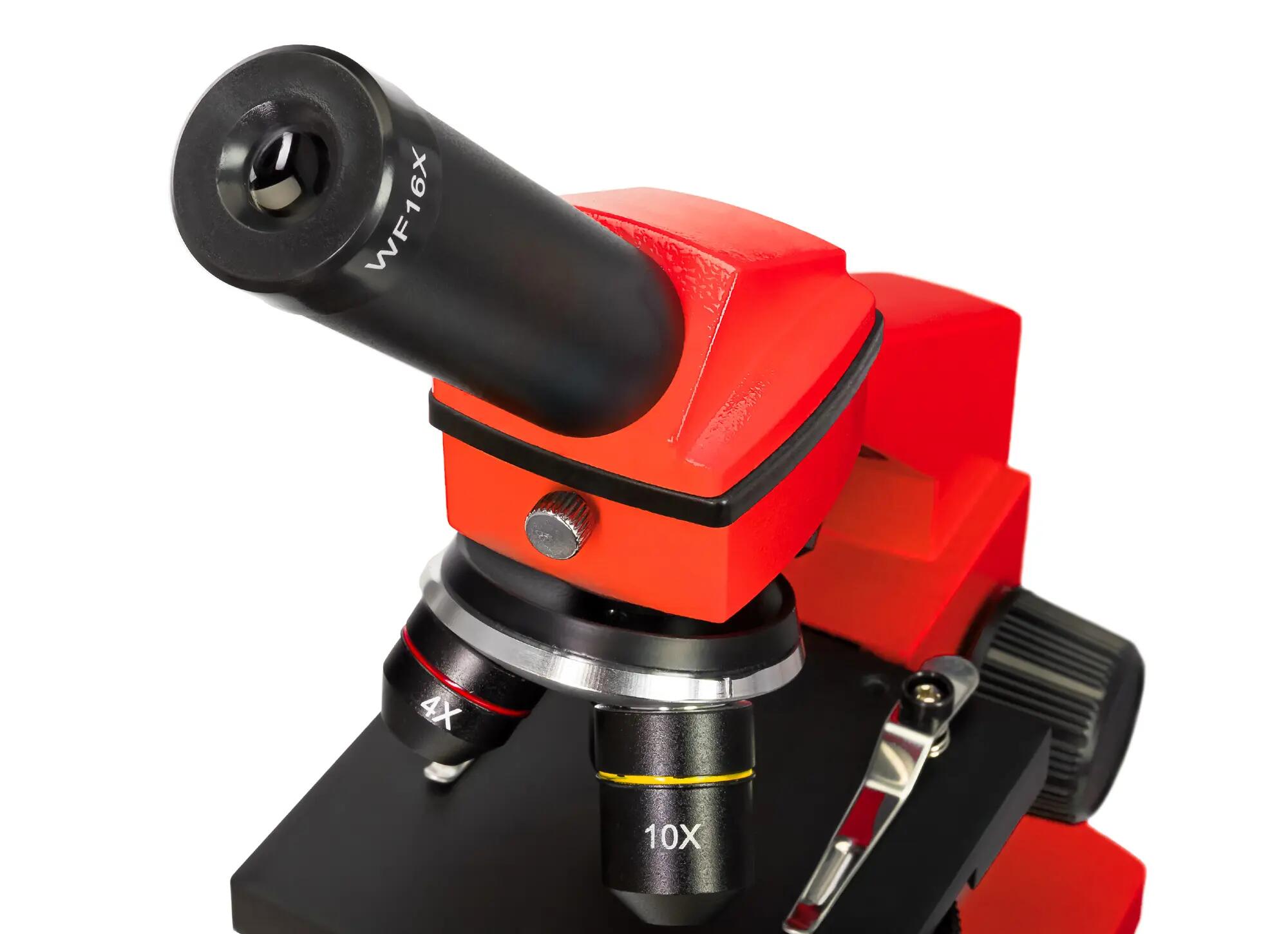 Microscopio Levenhuk Rainbow 2L PLUS Arancione con libro in italiano 8/14