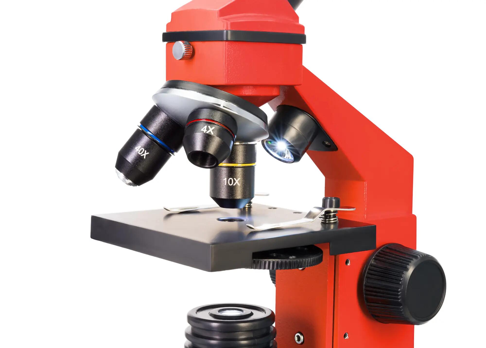 Microscopio Levenhuk Rainbow 2L PLUS Arancione con libro in italiano 10/14