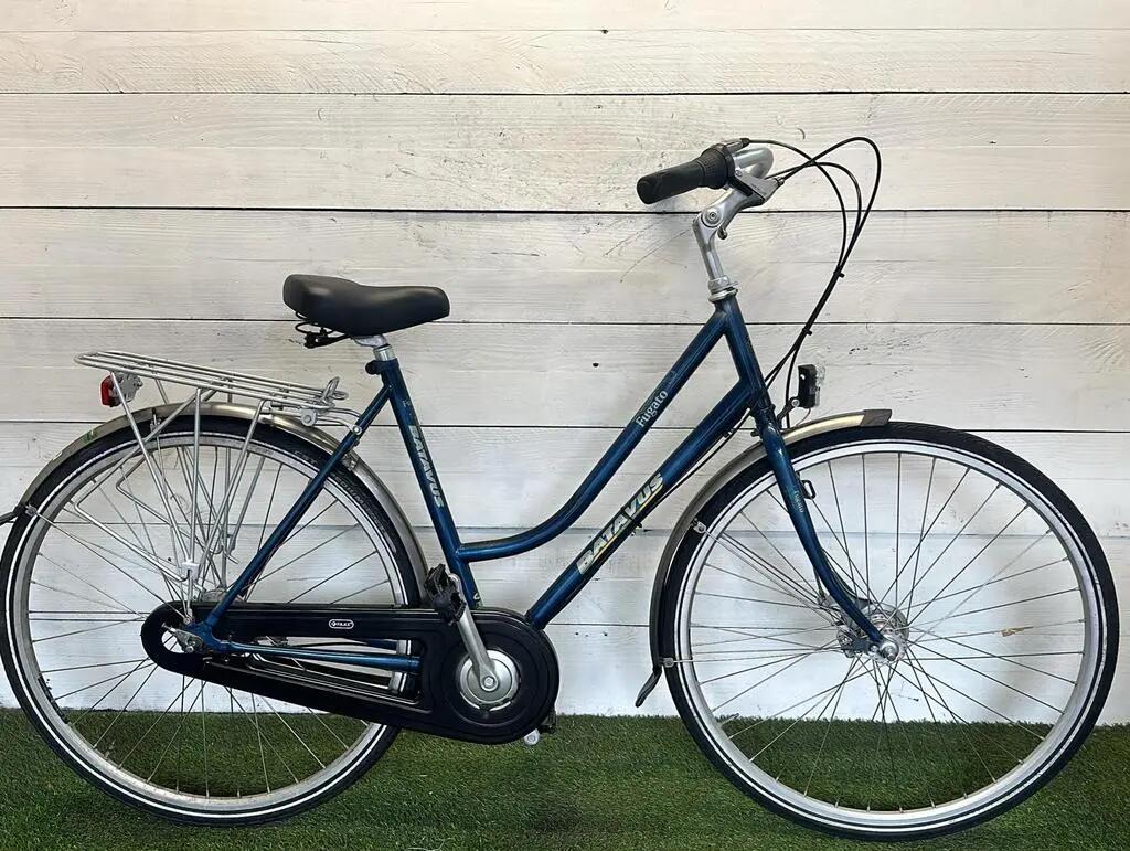 BATAVUS picture
