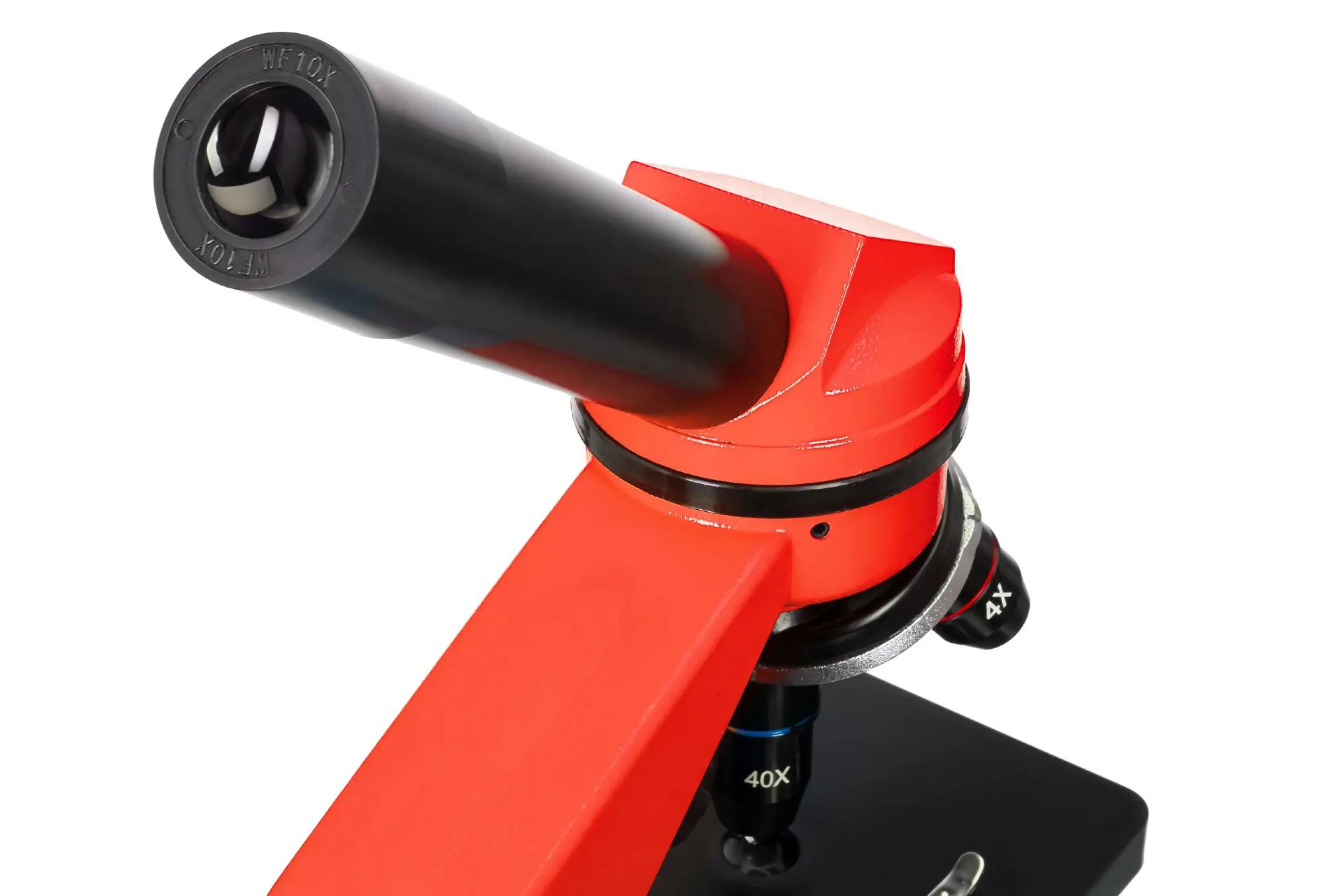Microscopio Levenhuk Rainbow 2L Arancione con libro in inglese 8/14