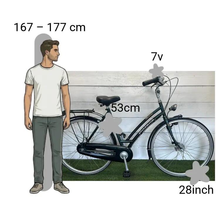 Bicicletta usata Gazelle Avignon 2/4