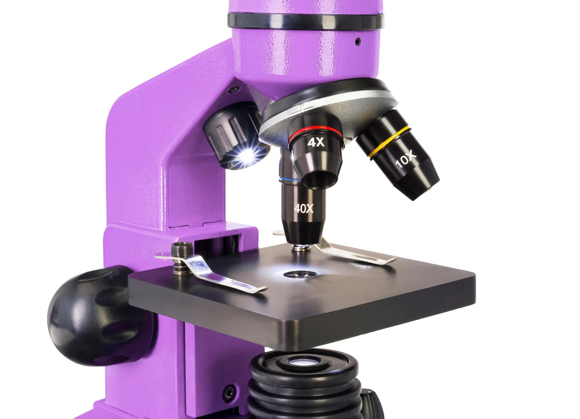 Microscopio Levenhuk Rainbow 2L Ametista con libro in inglese 10/14