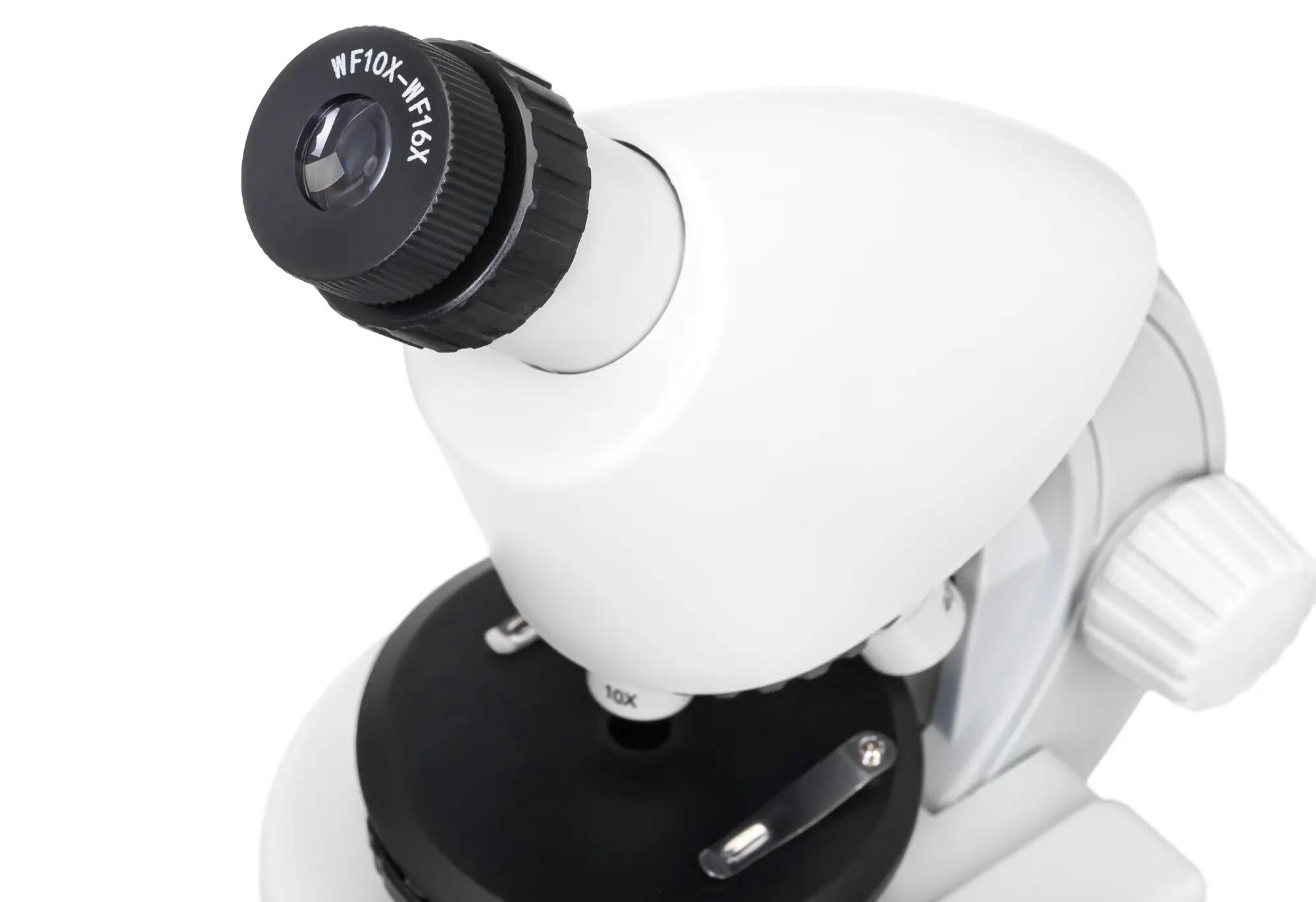 Microscopio Levenhuk Discovery Micro Polar con libro in inglese 11/15