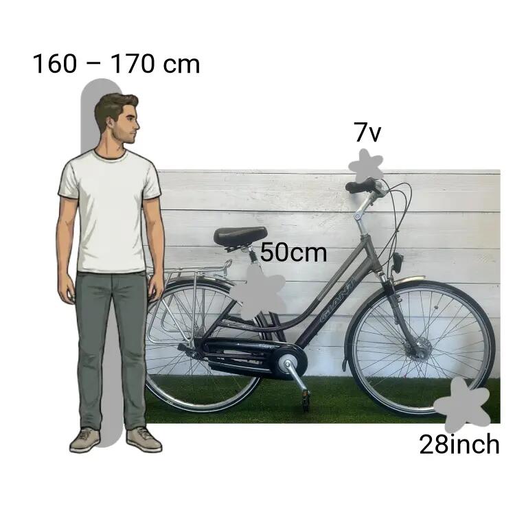Bicicletta usata Giant Adelaide 2/4