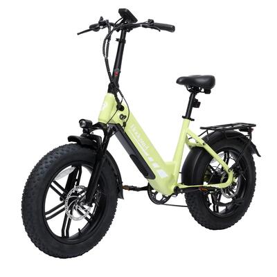 Bodywel f20pro all terrain elektrische fiets, 48v 20ah accu