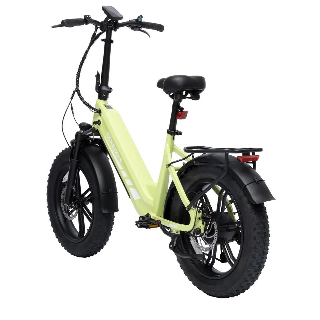 Bodywel F20PRO Fat Tire Touring Ebike 250W 48V18AH Battery
