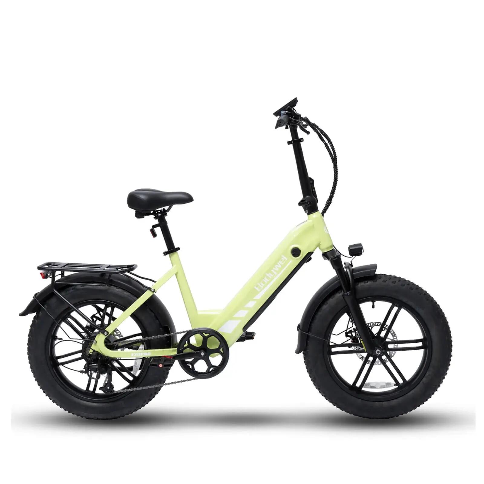 Bicicletta elettrica fuoristrada Bodywel F20Pro, batteria da 48V 20Ah 3/5