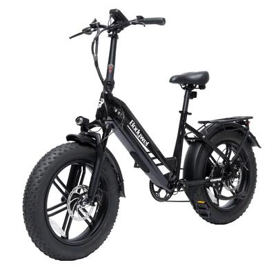 Bodywel f20pro all terrain elektrische fiets, 48v 20ah accu
