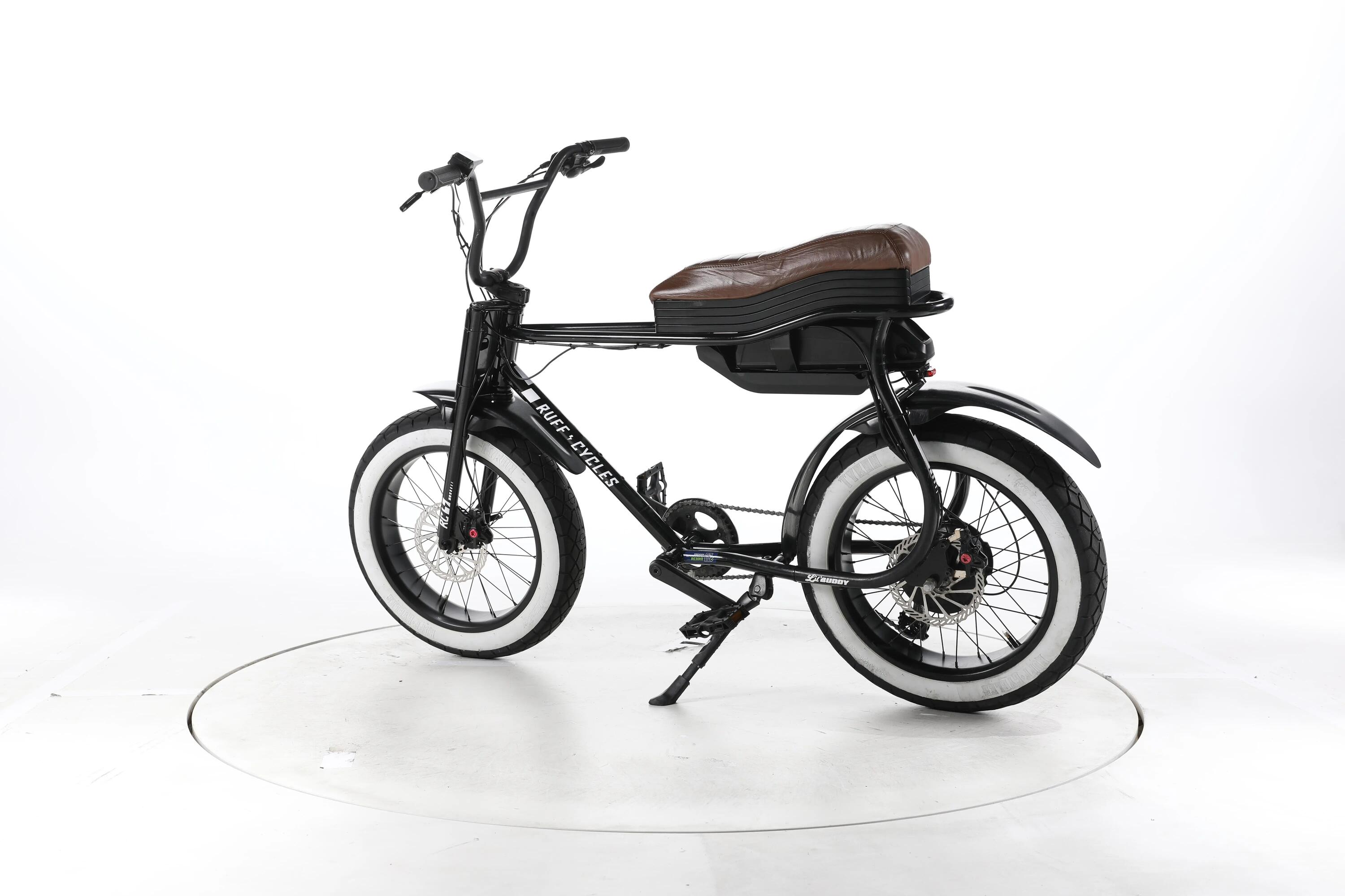 Ebike ricondizionata · Ruff Cycles LIL'BUDDY · Buone condizioni 7/7