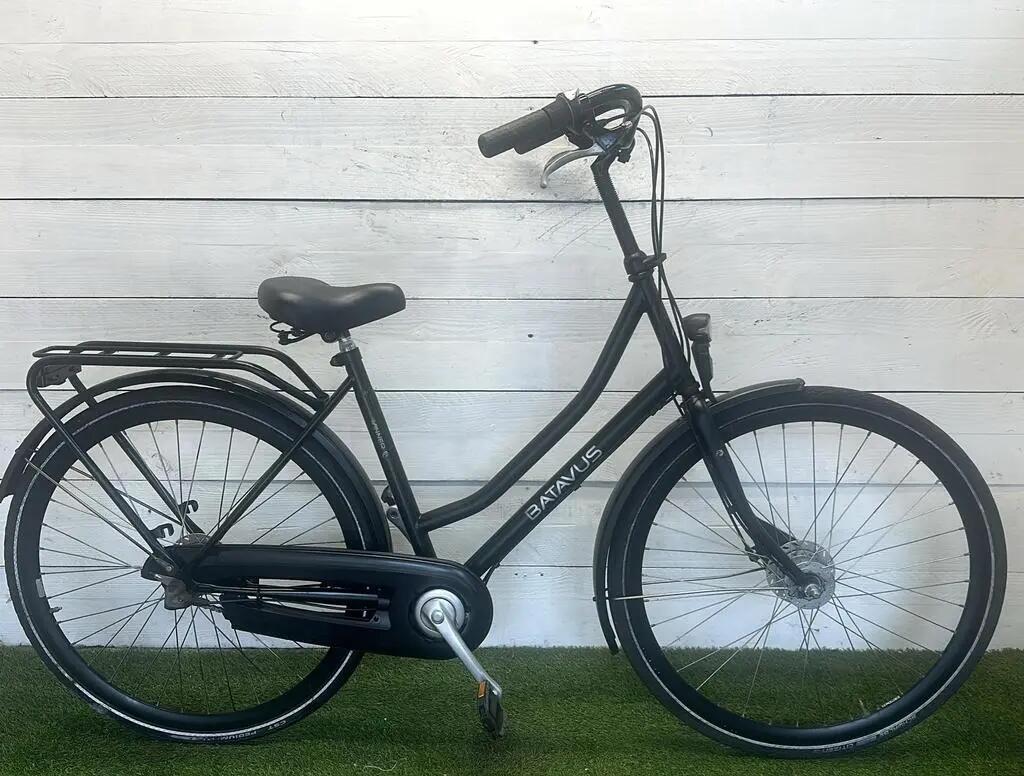 BATAVUS picture