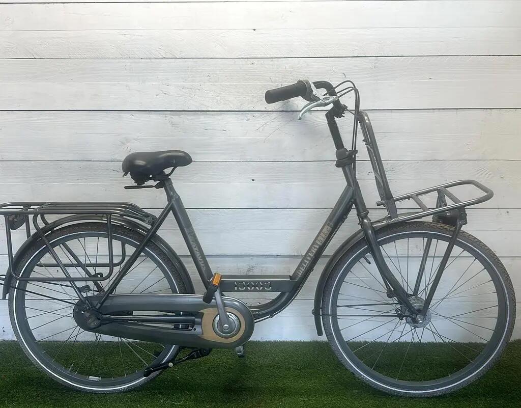 BATAVUS picture