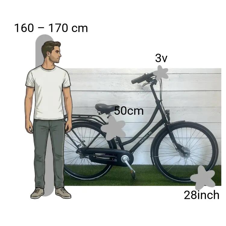 Bicicletta usata Batavus Winner 2/4