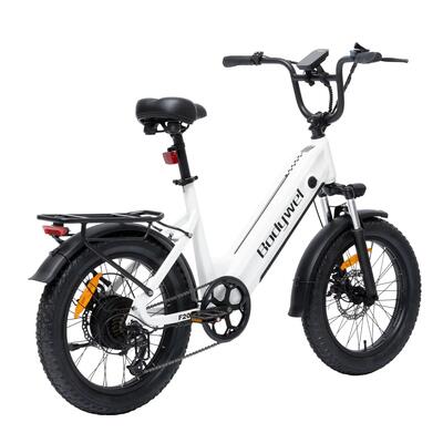 Bodywel f20 elektrische fiets met 20-inch wielen, 250w motor en 48v 13,5ah accu.