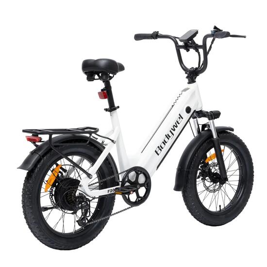 Bicicletta elettrica Bodywel F20 da 20 pollici 250 W 48 V 135 Ah