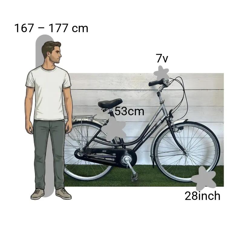 Bicicletta usata Batavus Intermezzo 2/4