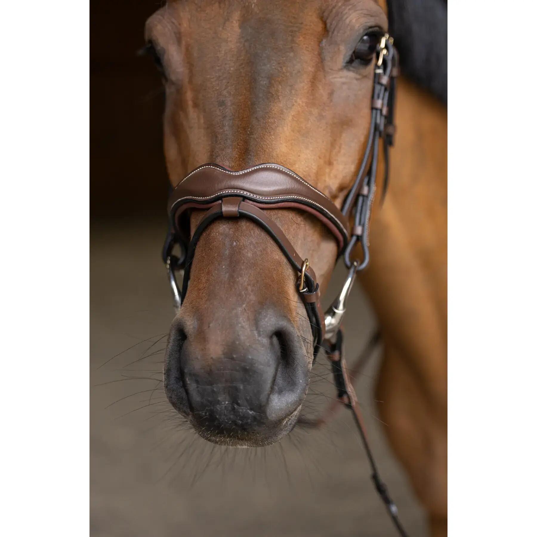 Muserolle combinée pour cheval HFI Wavy 5/7