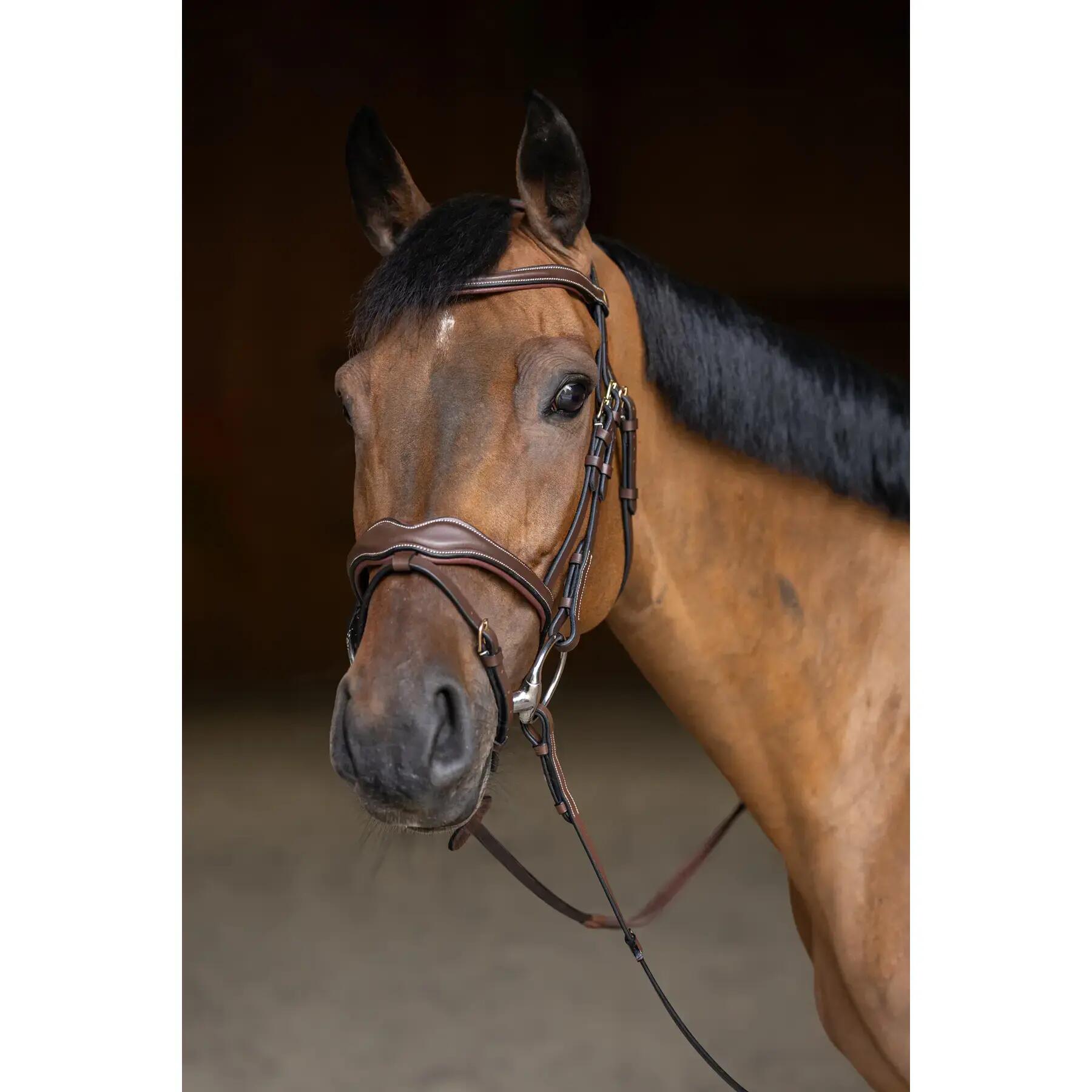 Muserolle combinée pour cheval HFI Wavy 4/7