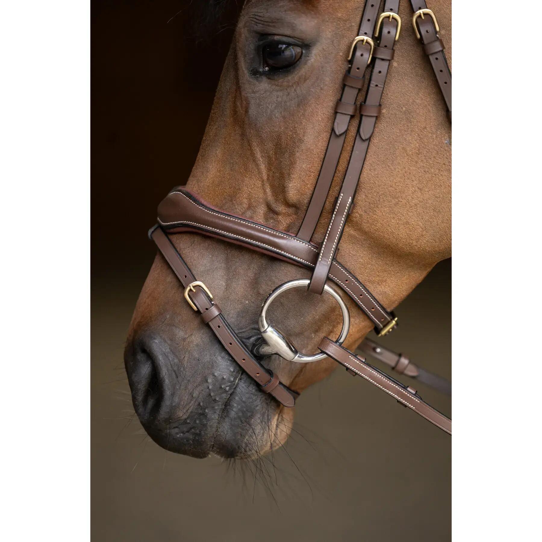 Muserolle combinée pour cheval HFI Wavy 2/7
