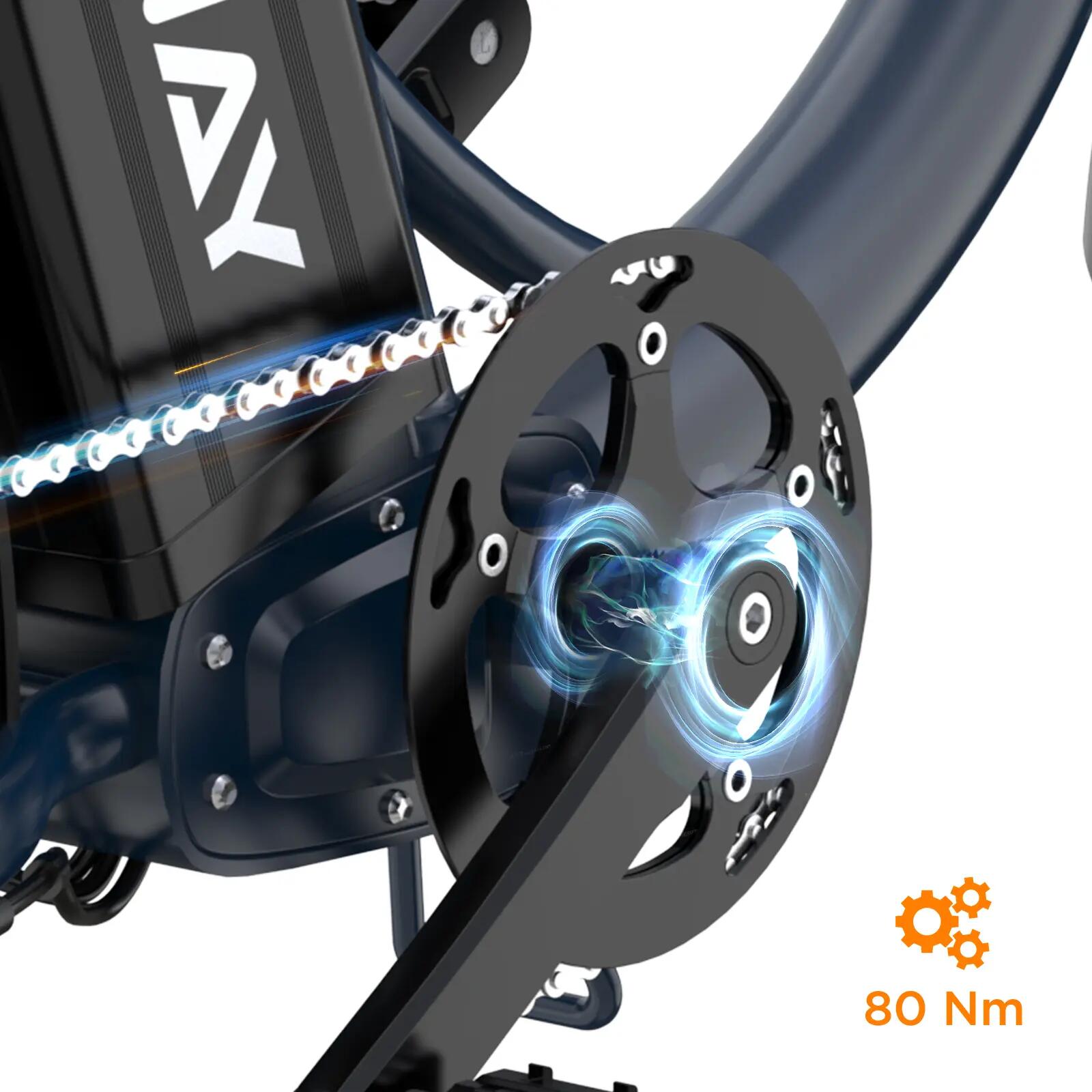 Vélo électrique cargo 20x4.0, 48V 27Ah, 160km, capteur de couple, BK6S PLUS 14/14