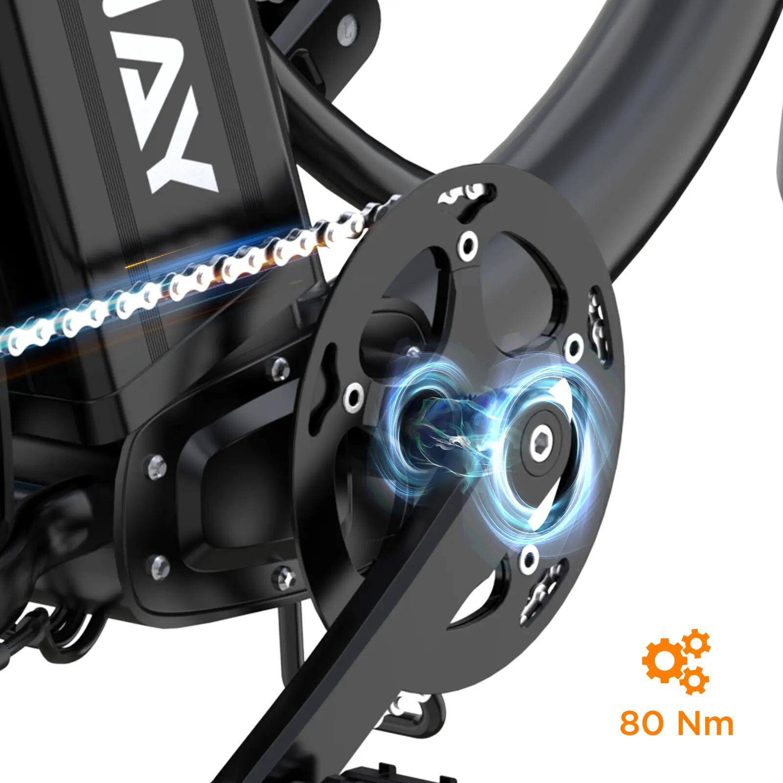elektrische fiets cargo 20x4.0, 48V 27Ah, 160km, koppelsensor, BK6S PLUS 12/12