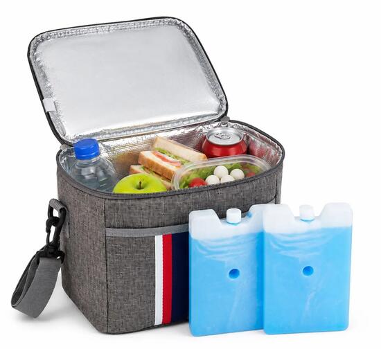 Sac Isotherme 25x18x20cm - M - Avec 2 Accumulateurs de Froid