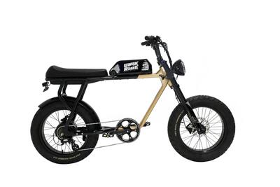 City xl - tweepersoons fatbike