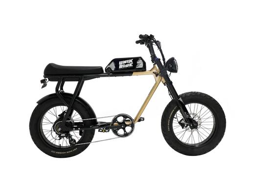 CITY XL - Fatbike biplace