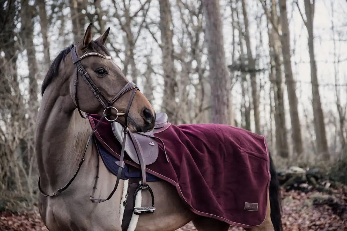 Couvre reins heavy fleece bordeaux medium 2/4