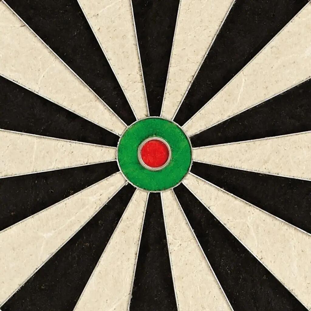 Cible - Darts - Sans agrafes, surface agrandie - Eclipse Pro 2 3/7